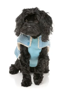 FuzzYard Essential Puffer Jacket - Blue