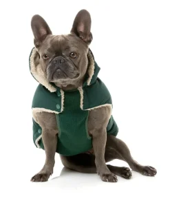 FuzzYard Essential Puffer Jacket - Forest Green