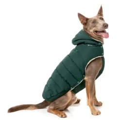 FuzzYard Essential Puffer Jacket - Forest Green