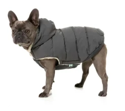 FuzzYard Essential Puffer Jacket - Charcoal