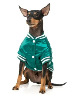 FuzzYard Fastball Jacket - Green