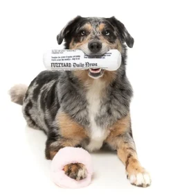 FuzzYard Fetch My Slippers & Paper 2PK - Dog Toy