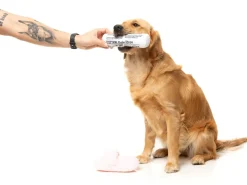 FuzzYard Fetch My Slippers & Paper 2PK - Dog Toy