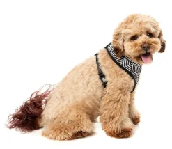 FuzzYard Fitzroy - Dog Harness