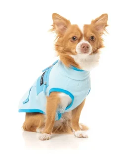 FuzzYard Fitzroy Jacket - Blue