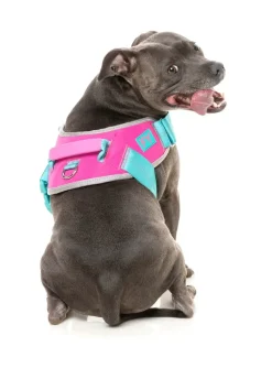 FuzzYard Flash Harness - Bubblegum