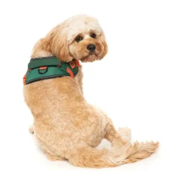 FuzzYard Flash Harness - Commando