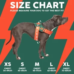 FuzzYard Flash Harness - Commando