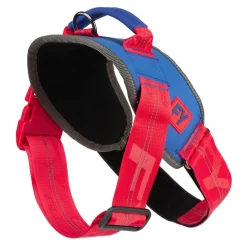 FuzzYard Flash Harness - Patriot