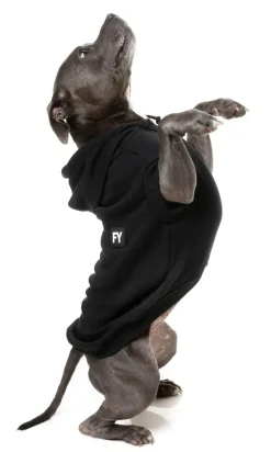 FuzzYard Flash Hoodie - Black