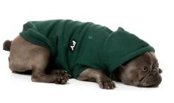 FuzzYard Flash Hoodie - Green