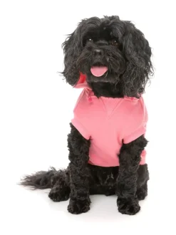 FuzzYard Flash Hoodie - Pink