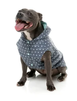 FuzzYard Flipside 24 Raincoat - Mint