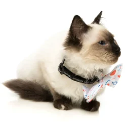 FuzzYard Flying High Pet Bow Tie