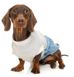 FuzzYard Flynn Sweater