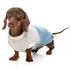 FuzzYard Flynn Sweater