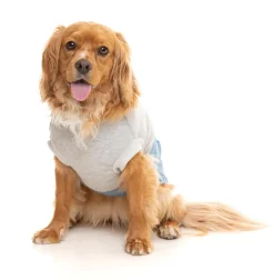 FuzzYard Flynn Sweater