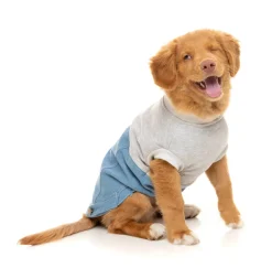 FuzzYard Flynn Sweater