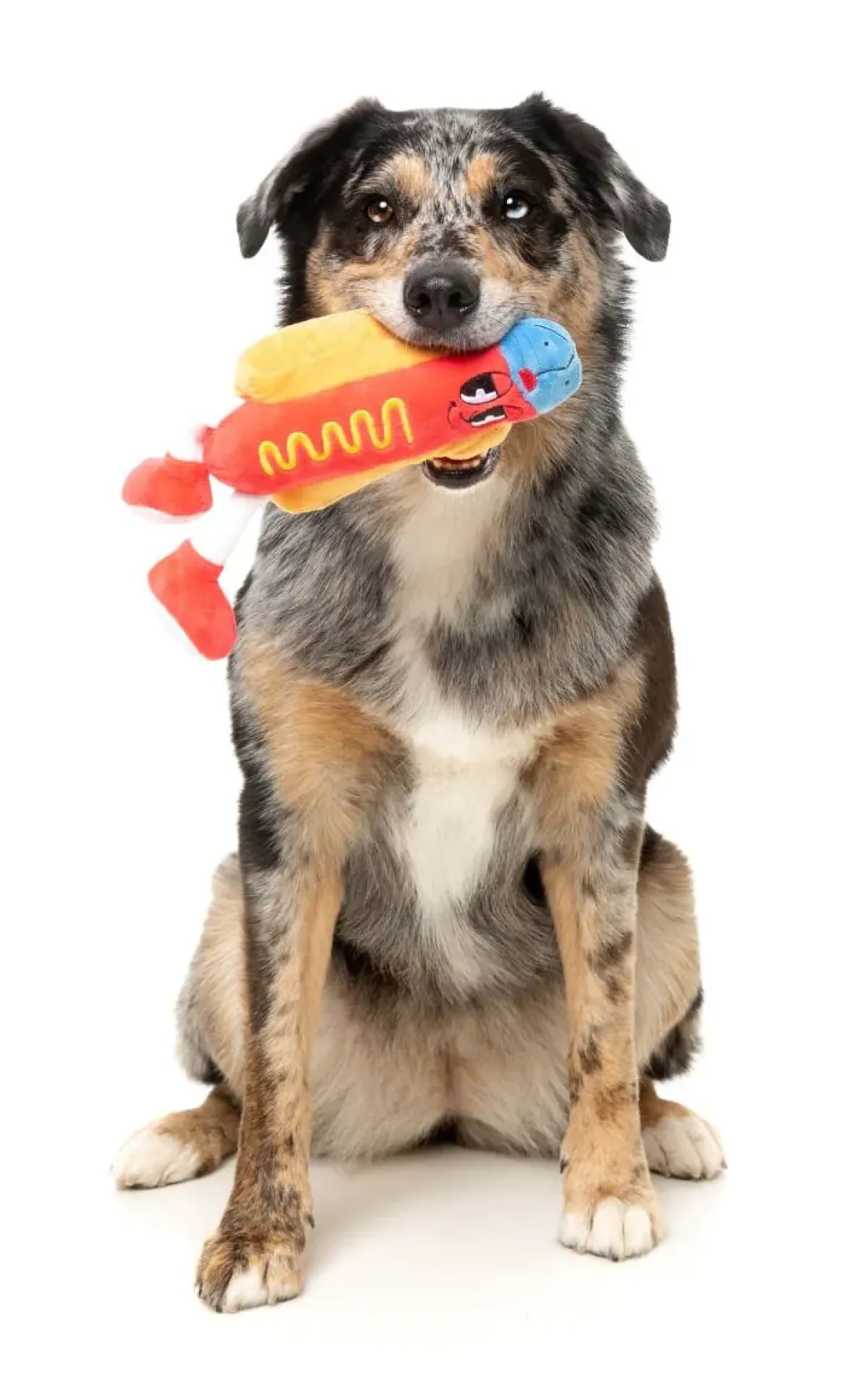 FuzzYard Franky - The Homies - Dog Toy