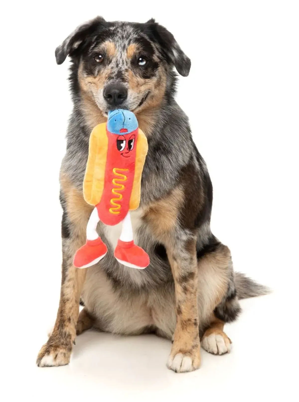 FuzzYard Franky - The Homies - Dog Toy