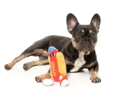 FuzzYard Franky - The Homies - Dog Toy