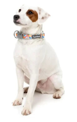 FuzzYard Fresh Zest - Dog Collar