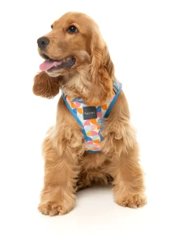 FuzzYard Fresh Zest - Dog Step In Harness