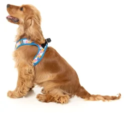 FuzzYard Fresh Zest - Dog Step In Harness
