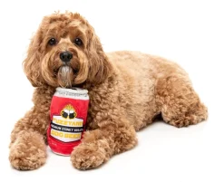FuzzYard Dog Beer - Dog Toy