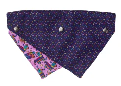 FuzzYard Fiesta - Bandana