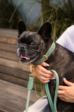 FuzzYard Life Atelier Dog Rope Lead - Myrtle Green