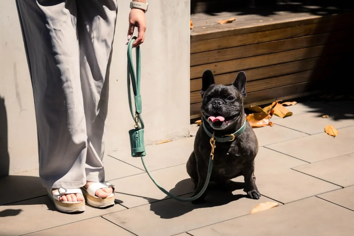 FuzzYard Life Atelier Dog Rope Lead - Myrtle Green