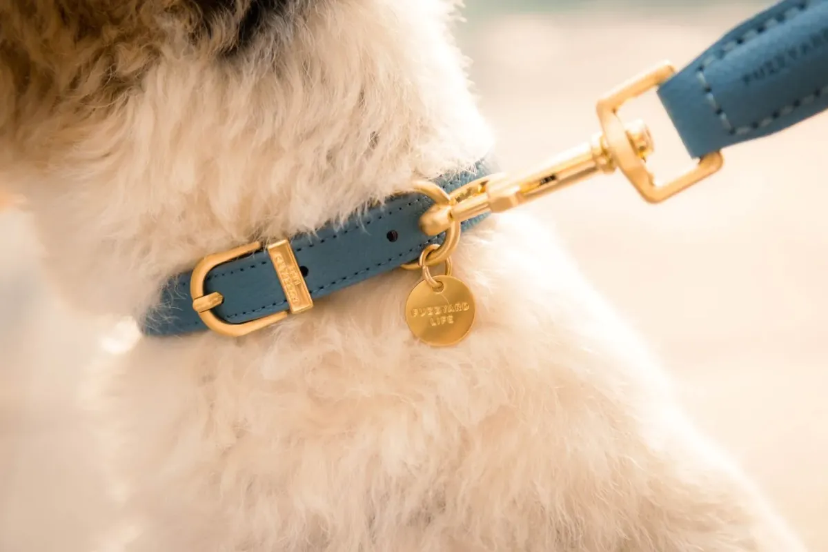 FuzzYard Life Atelier Dog Collar - French Blue