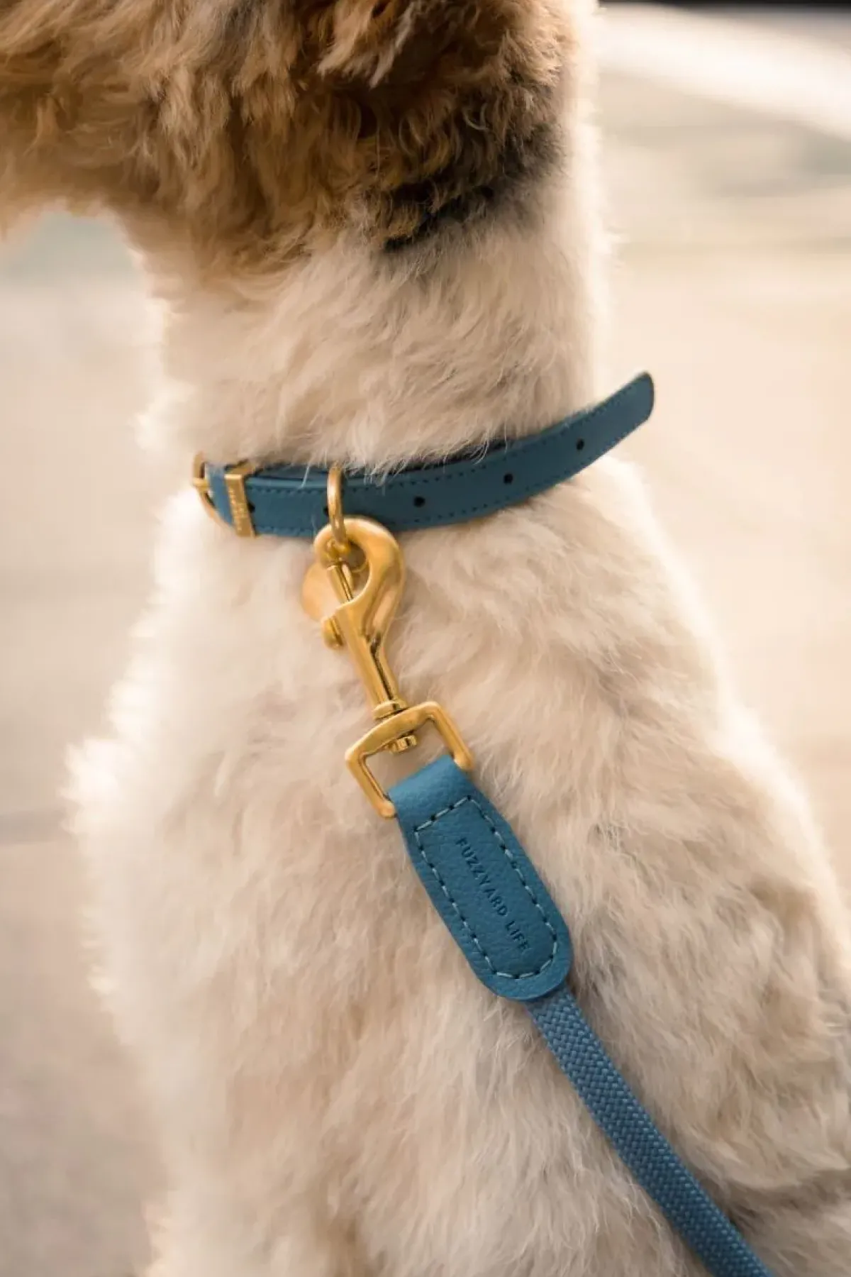 FuzzYard Life Atelier Dog Collar - French Blue