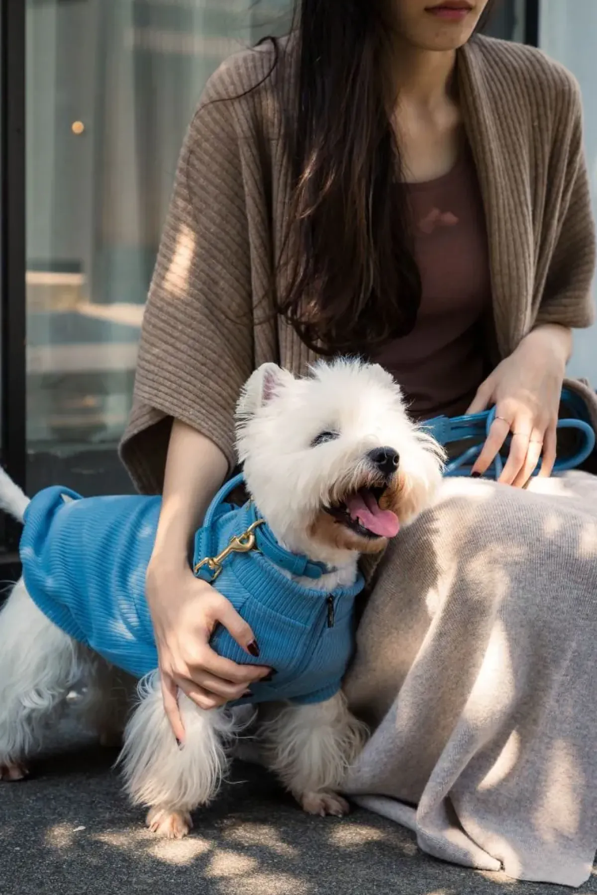 FuzzYard Life Atelier Dog Collar - French Blue