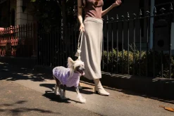 FuzzYard Life Atelier Dog Rope Lead - Sandstone