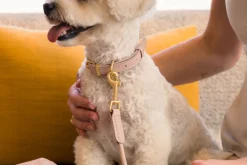 FuzzYard Life Atelier Dog Rope Lead - Soft Blush