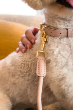 FuzzYard Life Atelier Dog Rope Lead - Soft Blush