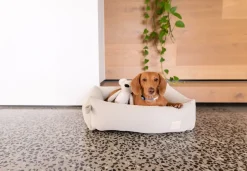 FuzzYard Life Bed - Corduroy Bed - Sandstone