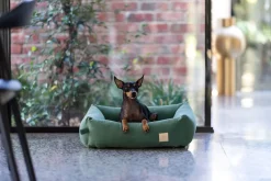 FuzzYard Life Bed - Corduroy Bed - Myrtle Green