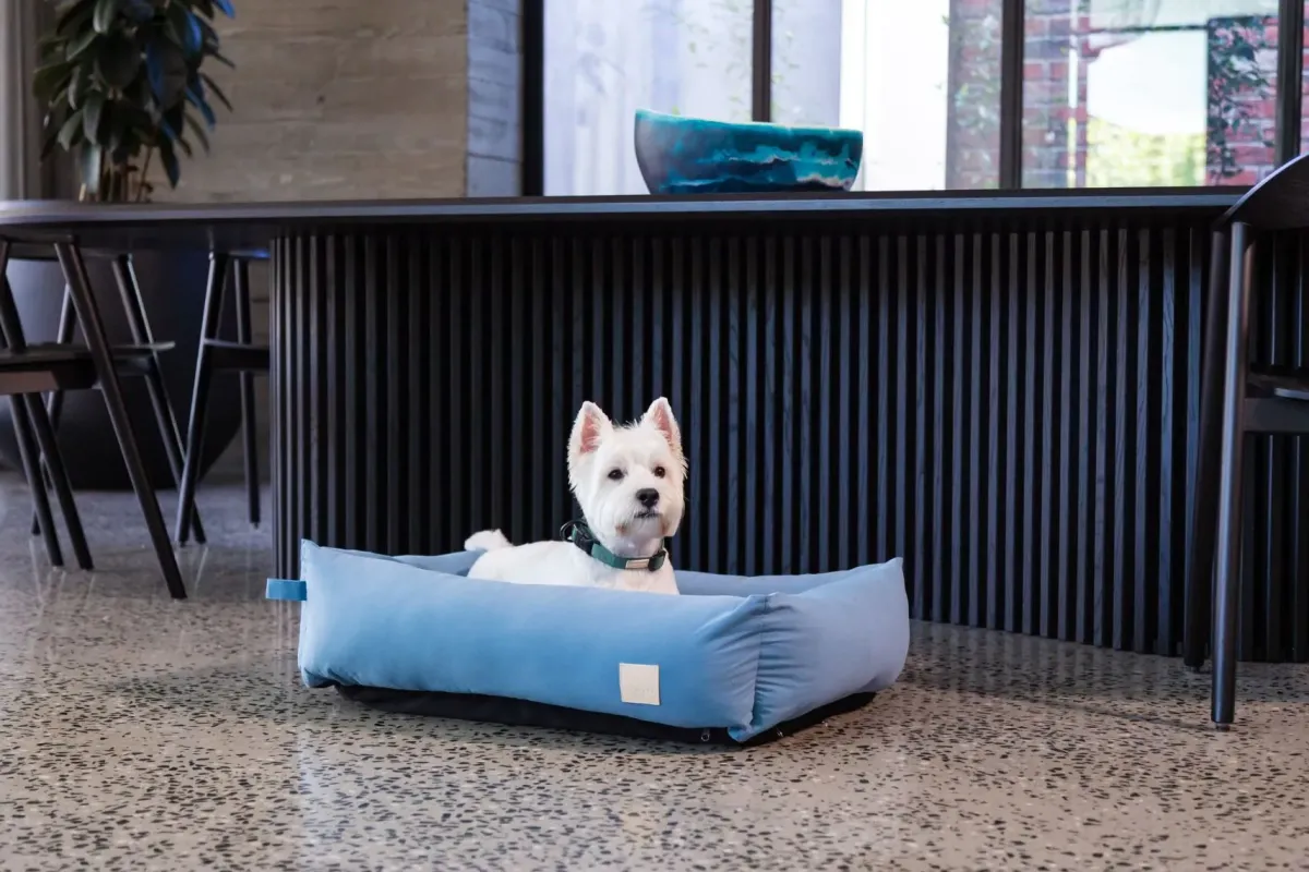 FuzzYard Life Bed - Cotton Bed - French Blue