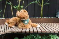 FuzzYard Life Corduroy Harness - Myrtle Green