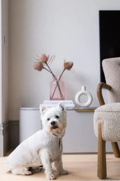 FuzzYard Life Corduroy Jacket - Sandstone