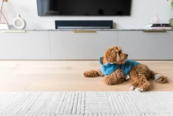 FuzzYard Life Corduroy Jacket - French Blue