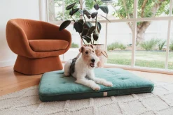 FuzzYard Life Lounge Mat - Myrtle Green