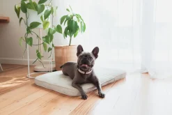 FuzzYard Life Lounge Mat - Sandstone