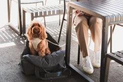 FuzzYard Life Multipurpose Carrier & Car Seat - Slate Grey