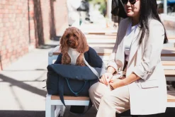 FuzzYard Life Multipurpose Carrier & Car Seat - Slate Grey