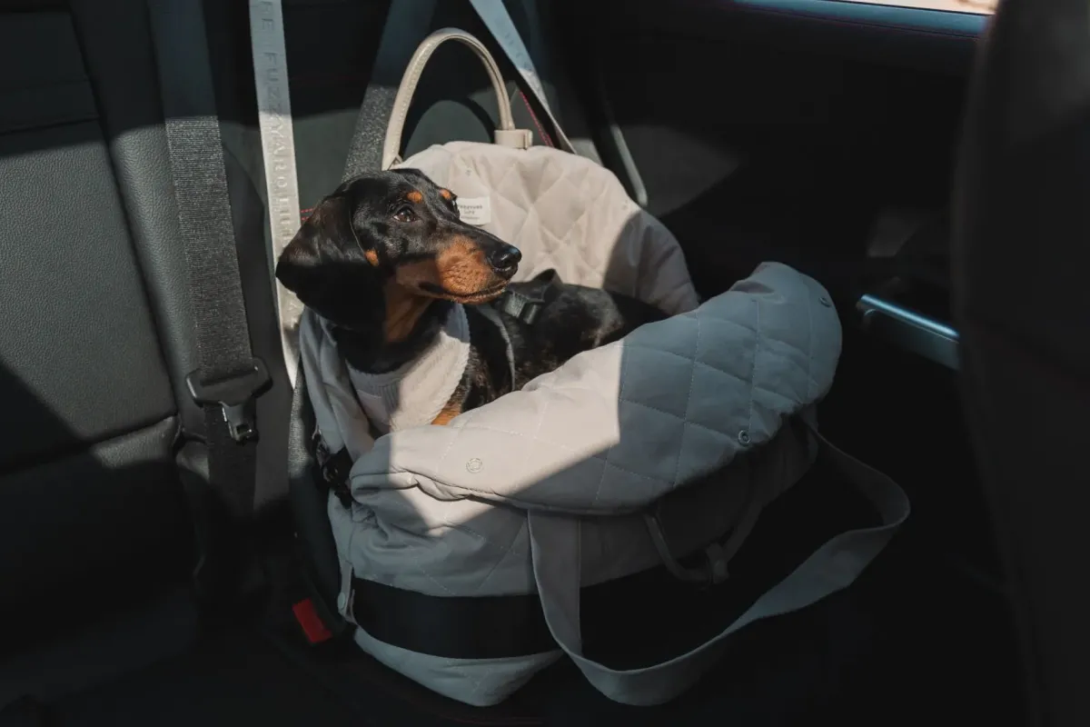 FuzzYard Life Multipurpose Carrier & Car Seat - Slate Grey