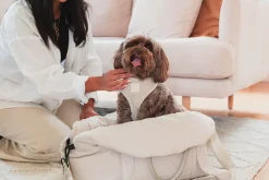 FuzzYard Life Multipurpose Carrier & Car Seat - Sandstone